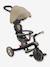 4-in-2 adjustable tricycle Explorer V3 by GLOBBER beige+blue+green+rose 