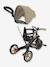 4-in-2 adjustable tricycle Explorer V3 by GLOBBER beige+blue+green+rose 