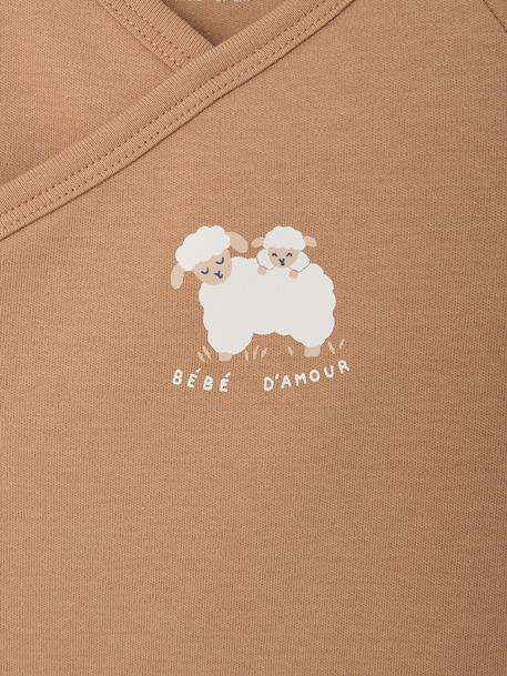 Pack of 2 long-sleeved newborn bodysuits cappuccino+pale pink+sage green 