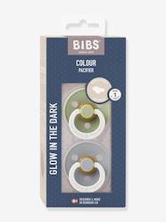 Nursery-Mealtime-Pack of 2 night soothers 0-6 months BIBS