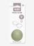 Mini dummy case BIBS beige+ecru+sage green 
