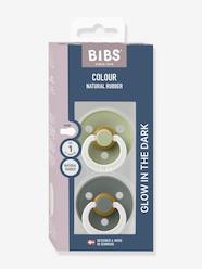 Nursery-Mealtime-Pack of 2 Dummies, BIBS Colour, Size 1 from 0 to 6 mo.