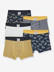 Pack of 5 Stretch Boxer Shorts, Dino, for Boys