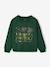 Harry Potter sweatshirt for boys dark green 