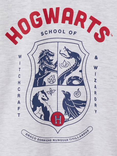 Harry Potter long-sleeved pyjamas for boys marl grey 