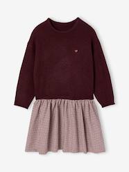-2-in-1 long-sleeved dress for girls