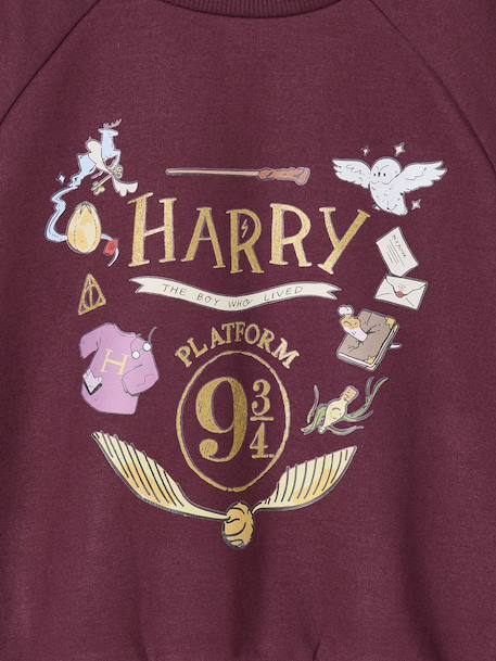 Christmas sweatshirt Harry Potter for girls plum 