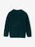 Jacquard jumper with long sleeves for boys dark green 
