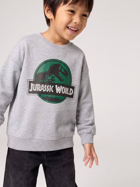Sweatshirt Jurassic World for boys marl grey 