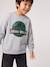Sweatshirt Jurassic World for boys marl grey 