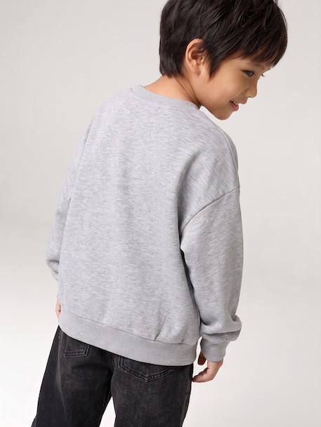 Sweatshirt Jurassic World for boys marl grey 