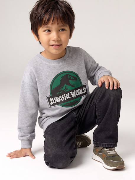 Sweatshirt Jurassic World for boys marl grey 