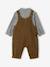 Dungaree set with shirt for baby boys olive 