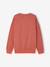 Men’s long-sleeved sweatshirt Family Capsule terracotta 