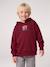 Hooded sweatshirt for boys marl red+navy blue 