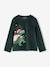 Velour pyjamas for boys fir green 
