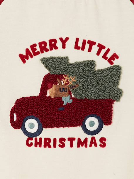 Long-sleeved T-shirt for baby boys red 