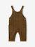 Dungaree set with shirt for baby boys olive 