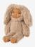 Misa Ryo rabbit soft doll LIEWOOD beige 