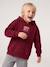 Hooded sweatshirt for boys marl red+navy blue 