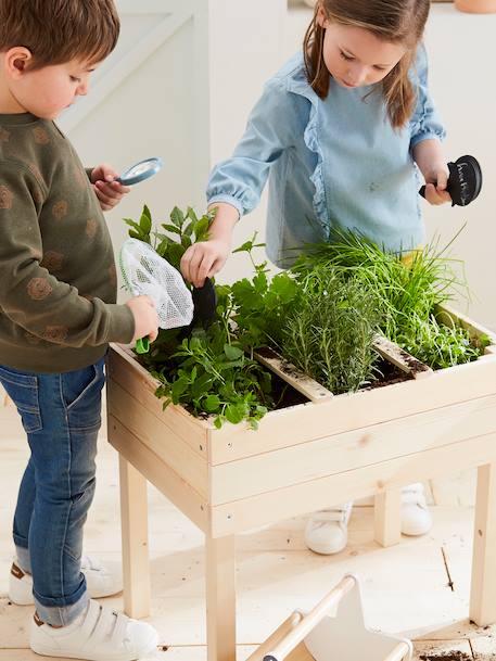 Wooden Square Vegetable Patch Beige 