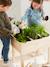 Wooden Square Vegetable Patch Beige 