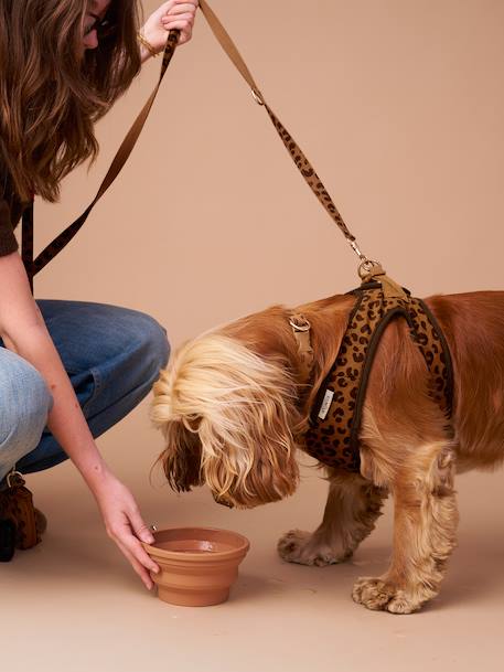 Collapsible silicone bowl, FAMILY camel 