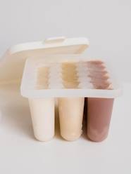 -Baby food freezer tray BIBS