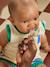 Pack of 2 Supreme soothers BIBS beige 