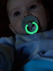 -Pack of 2 Dummies, BIBS Colour, Size 2 from 6 to 18 mo.