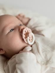 -Pack of 2 Boheme night dummies BIBS