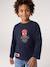 Long-sleeved T-shirt Spider-Man for boys navy blue 