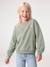 Basics Sweatshirt with Motif for Girls anthracite+coral+purple clover+sage+vanilla 