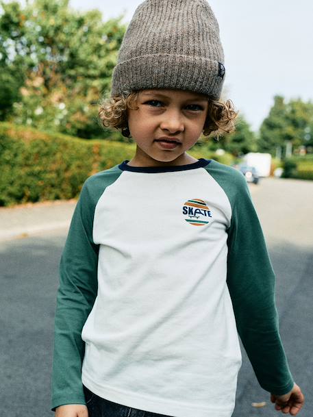Long-sleeved T-shirt for boys bordeaux red+ochre+sage green 