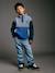 Long-Sleeved Fleece Sweatshirt for Boys blue+green 
