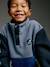 Long-Sleeved Fleece Sweatshirt for Boys blue+green 