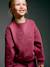 Sweatshirt and joggers set for girls plum 
