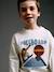 Long-sleeved T-shirt for boys sage green+white 