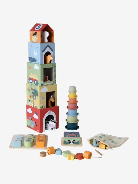 Discovery set: FINE MOTOR SKILLS, BALANCE AND EARLY REASONING in FSC®100% wood multicoloured 