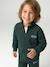 Zipped sweatshirt for boys with a trucker neck fir green+navy blue+red 