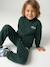 Zipped sweatshirt for boys with a trucker neck fir green+navy blue+red 