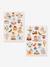 Drawing activity cases KONGES SLOJD multicoloured 