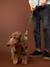 Dog walking set khaki 