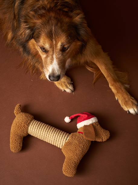 Christmas dachshund dog toy chocolate 