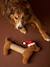 Christmas dachshund dog toy chocolate 