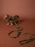 Dog walking set khaki 