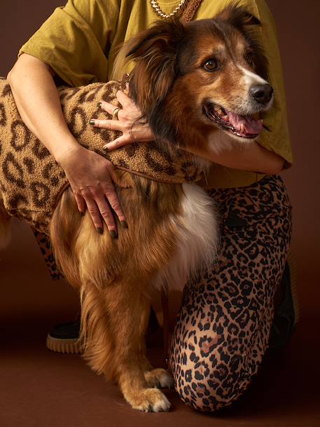 Sherpa dog coat cappuccino 