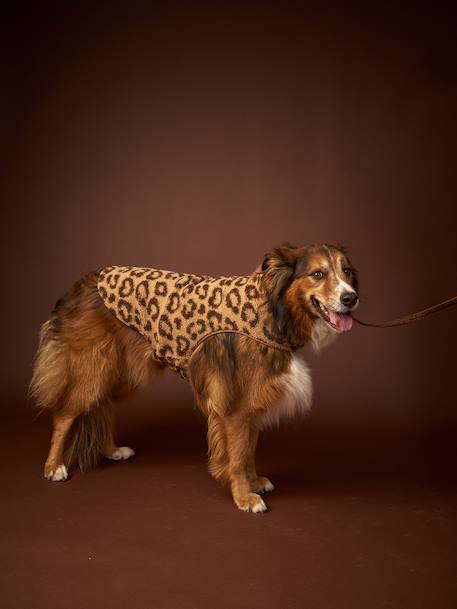 Sherpa dog coat cappuccino 