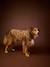 Sherpa dog coat cappuccino 