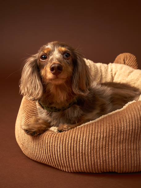 Quilted pet basket FAMILY caramel+printed brown 